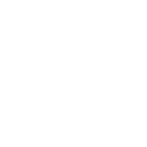 Bash 2025 - logo